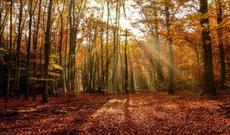 Oktyabrın 2-ci günündə hava necə olacaq?