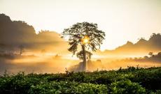 Sabahın hava proqnozu açıqlanıb