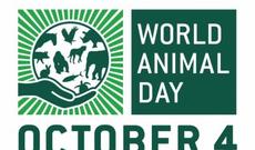 Bu gün Heyvanların Beynəlxalq Müdafiəsi Günüdür