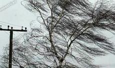 Nazirlikdən hava xəbərdarlığı: qorxunc külək gəlir