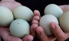 Azərbaycanda biri 5 manata olan yumurta satılır