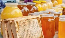 Balın beyin və diş ətinə faydası...