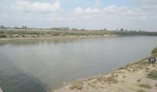 Sabirabadda 60 yaşlı kişi özünü Kür çayına atdı