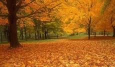 Sabah 25 dərəcə isti olacaq