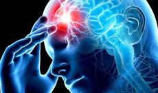 Oktyabrın 29-u Dünya İnsultla Mübarizə Günüdür