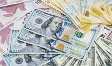 Oktyabrın 31-də xarici valyutaların manata qarşı məzənnələri