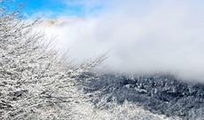 Xınalıq və Şahdağa qar yağıb, ən çox yağıntı Lənkərana düşüb