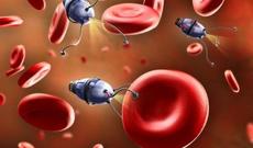 Məşhur alim xərçəngin əsl səbəbini açıqladı: "Qışda badımcan və yumurta yesəniz..."