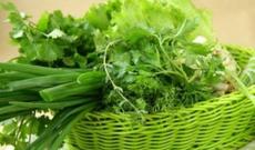 İstanbulda 44 nəfər göyərtidən zəhərləndi