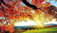 Sabah yaz havası olacaq