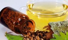 Palıd qabığının bilmədiyiniz faydaları