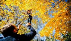 Bazar günü 22 dərəcə isti olacaq