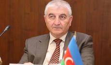 Məzahir Pənahov: Bələdiyyə seçkilərini izləmək üçün 15 ölkəyə dəvət göndərilib