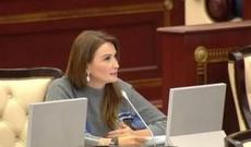 Qənirə Paşayeva aliment fondunun yaradılmasını təklif etdi