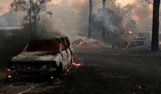 Avstraliyada meşə yanğınları