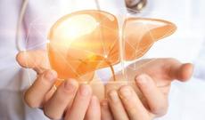 Qaraciyərin vəziyyətini yaxşılaşdırmaq üçün 10 sadə məsləhət