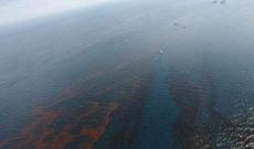 Braziliya sahillərindəki neft ləkələri Rio-de-Janeyroya çatıb