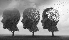 Beynimiz niyə tez qocalır? – QORXUNC SƏBƏBLƏR