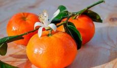 Qış aylarında nə qədər naringi yemək təhlükəsizdir?