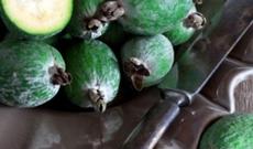 Zob xəstəliyi olanların diqqətinə