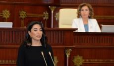 Azərbaycanın yeni ombudsmanı seçilib