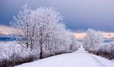 Qış Azərbaycana bu tarixdə gələcək