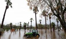Fransanın cənubunda daşqınlar davam edir