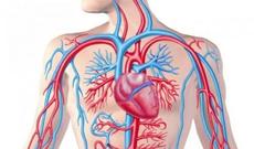 Damarların 4 əsas düşməni açıqlandı