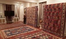 ABŞ-da Azərbaycan xalçalarının sərgisi açılıb