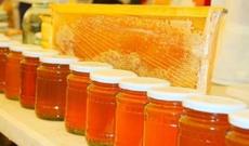 Rusiyaya qanunsuz bal, süd aparan azərbaycanlılara cinayət işi açıldı