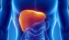 Qaraciyəri piylənmədən qoruyan ucuz məhsul