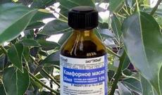 Soyuqdəyməni müalicə edən UCUZ VASİTƏ