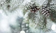 Sabah Bakıda 14 dərəcə isti olacaq