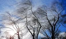 Sabah güclü külək olacaq