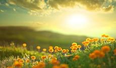 Sabahın hava proqnozu açıqlanıb