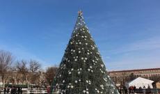 Ağ Evin qarşısında “Milli Milad yolkası” ucaldılıb