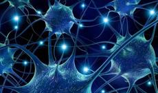 Bunu etmək xərçəngin qarşısını alır – TƏDQİQAT