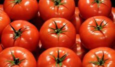 Bu il Azərbaycanın ixrac etdiyi məhsulların siyahısında pomidor birincidir