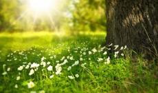 Bu gün 12 dərəcə isti olacaq