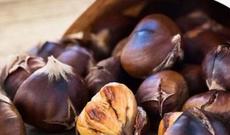 Varikozu təbii yolla müalicə edən, qaraciyər üçün əvəzedilməz olan ŞABALID