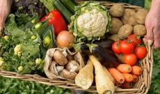 Ən yaxşı pəhrizlər açıqlandı