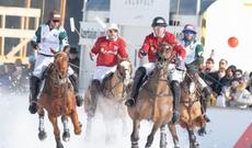 Azərbaycan atları İsveçrə tamaşaçılarını heyran etdi