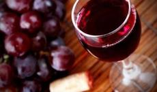 Bakıda ilk dəfə Qafqazın şərab marşrutu yaradıldı