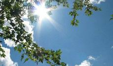 Sabah havanın temperaturu 23 dərəcəyədək artacaq