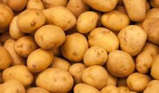 Azərbaycanda yerli kartof sortları niyə azalır?