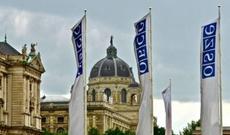 Bəzi beynəlxalq təşkilatlar Azərbaycana qara yaxırlar