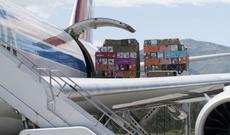 Rusiyanın Çinlə sərhəd Xabarovsk vilayətinə pomidorlar təyyarə ilə daşınır