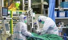 Çində koronavirusdan ölənlərin sayı 2442 nəfərə çatıb