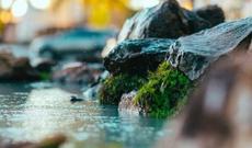 Bu gün Novruzun ilk çərşənbəsi qeyd olunur