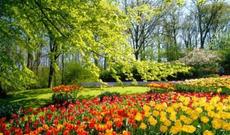 Yaz fəslinin Azərbaycana daxil olacağı vaxt açıqlanıb